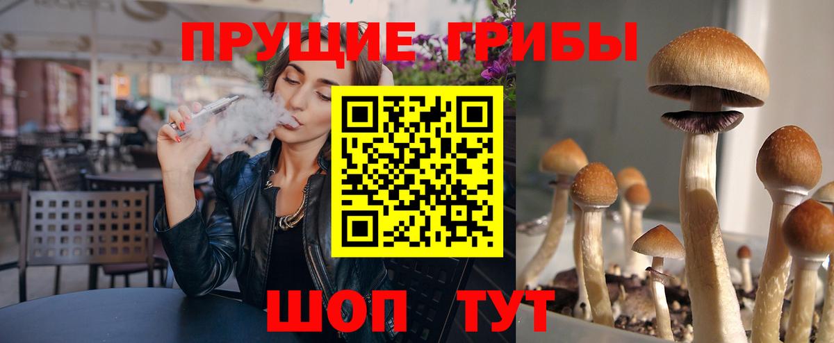 Галлюциногенные грибы MAGIC MUSHROOMS Уссурийск